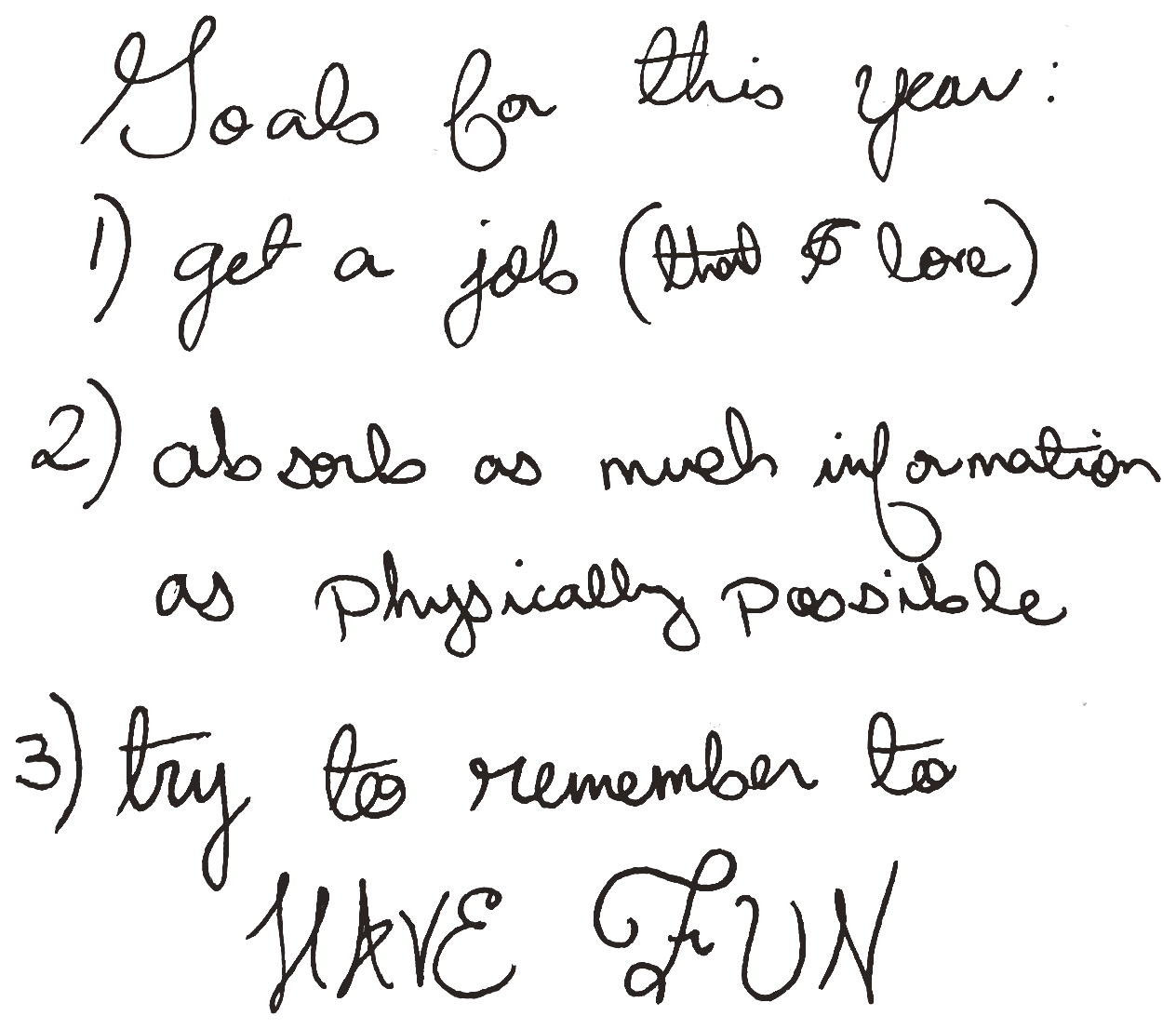 Goals for this year: 1) get a job (that I love) 2) absorb as much information as physically possible 3) try to remember to HAVE FUN