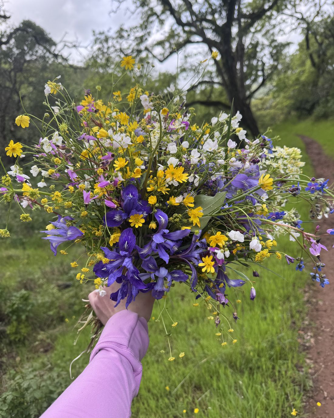 A bouquet of yellow, white and purple wildflowers held up on a trail